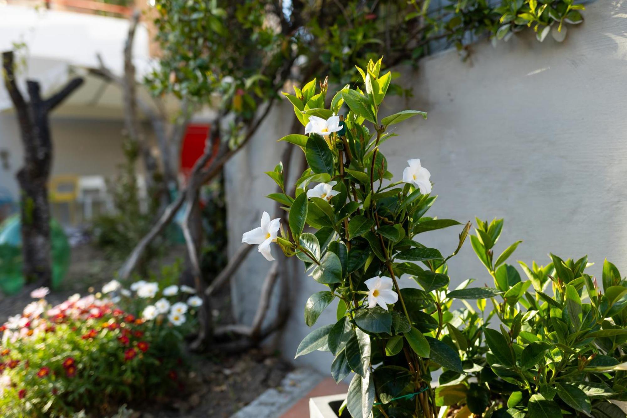 B&B Casa Gagliardi Matera Ngoại thất bức ảnh